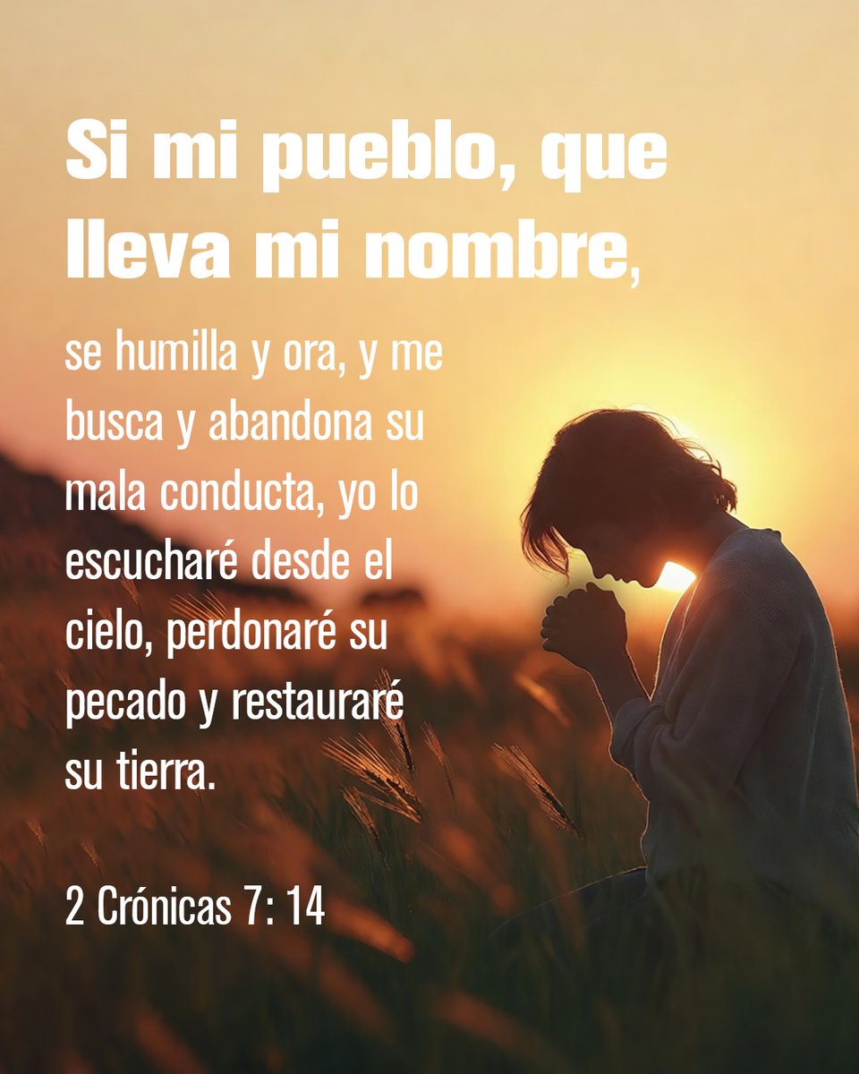 Cerca Está tweet media