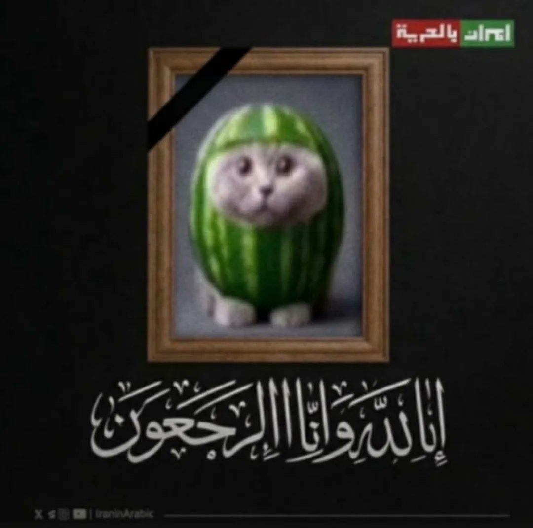 brainrot dimension tweet media