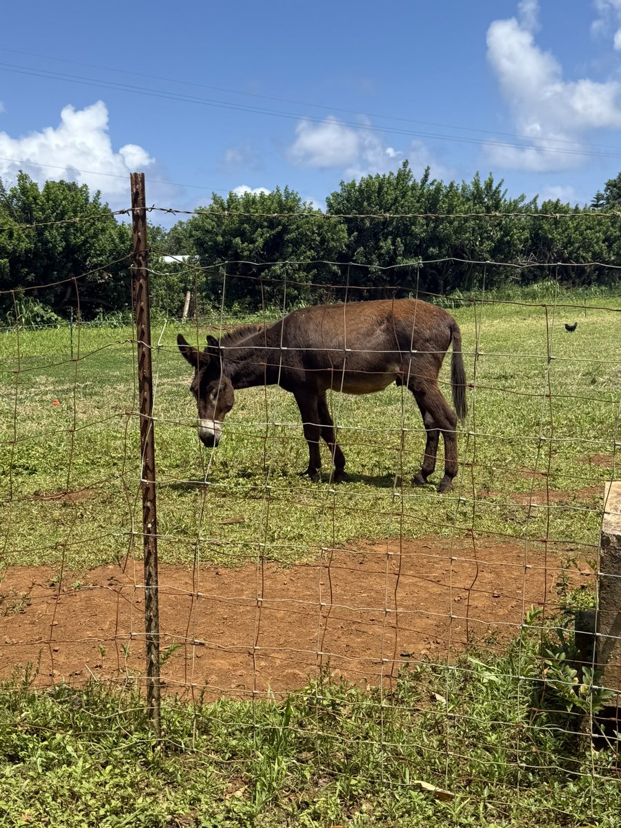 LAKingSteve 🏒👑 tweet media