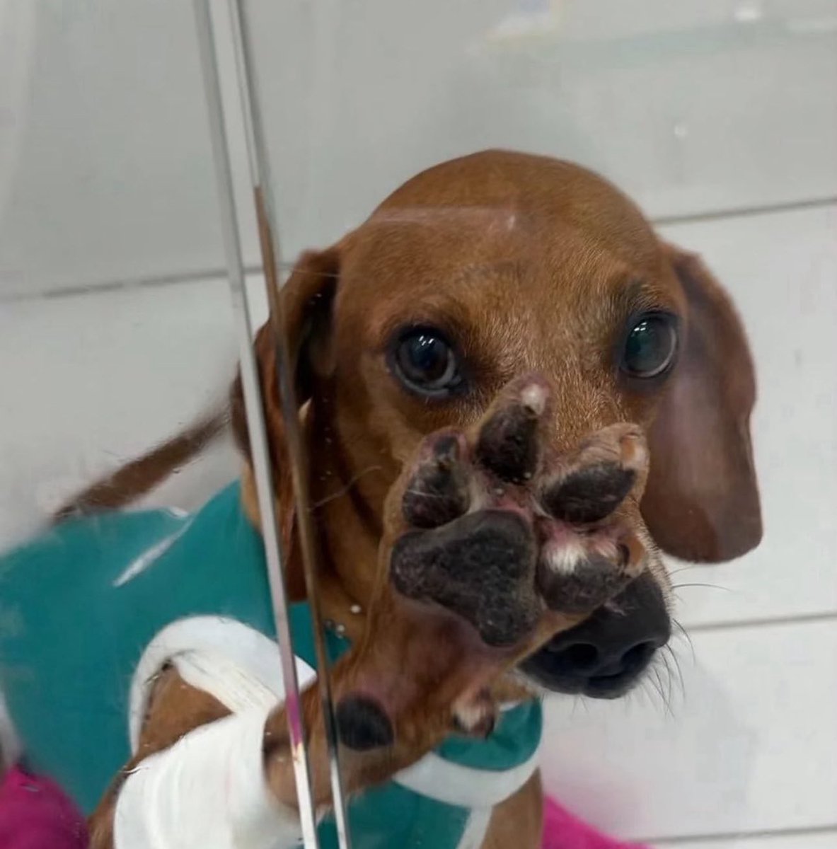 kaarolzx tweet media