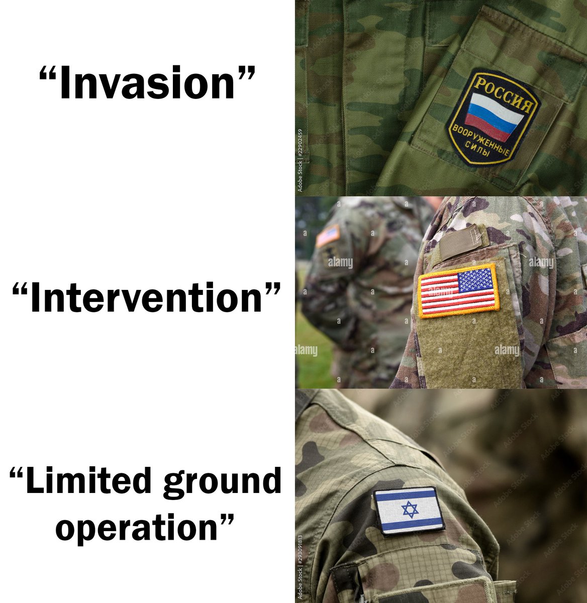 Dear Brumus tweet media