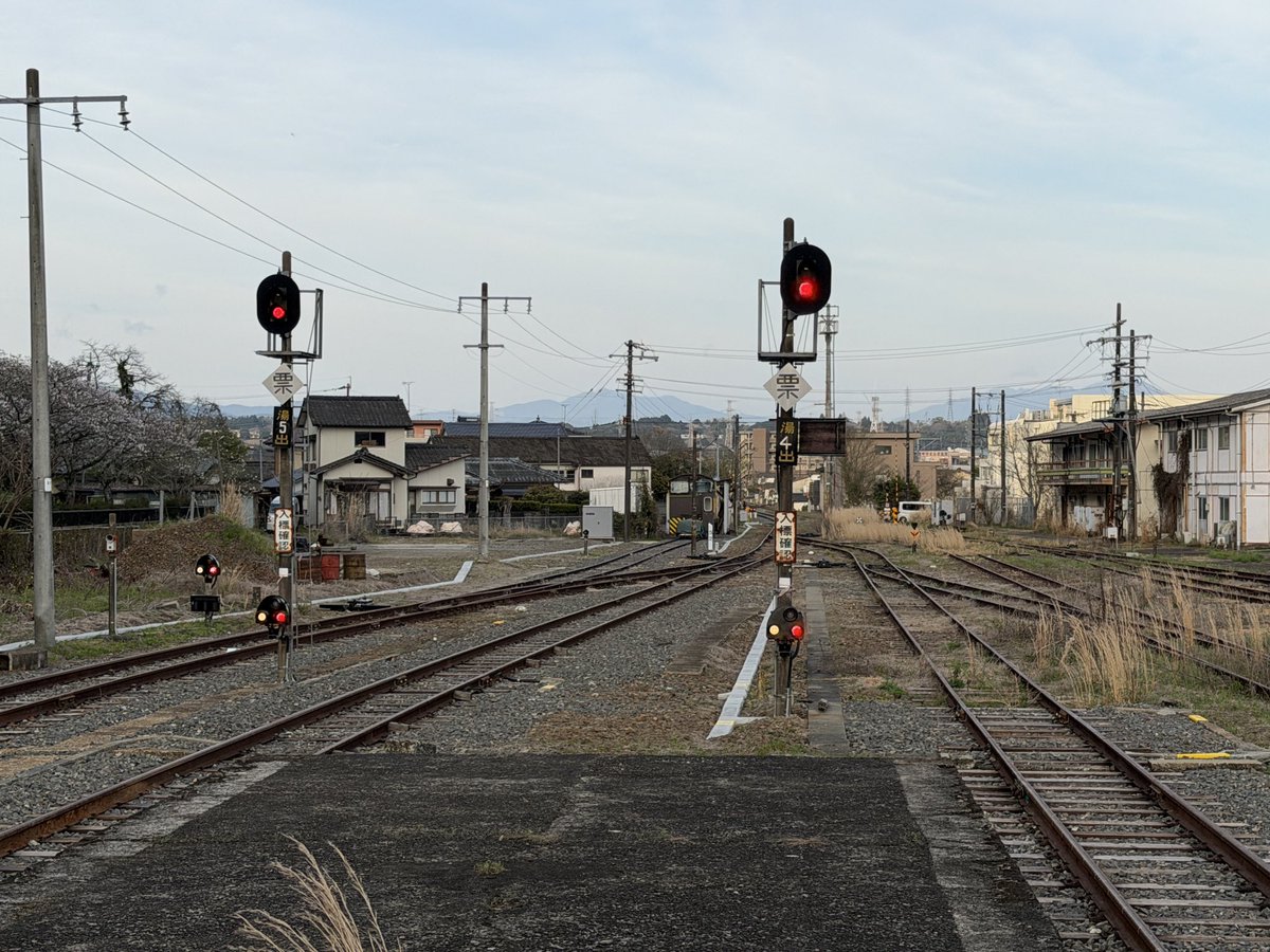 田中匡史 tweet media