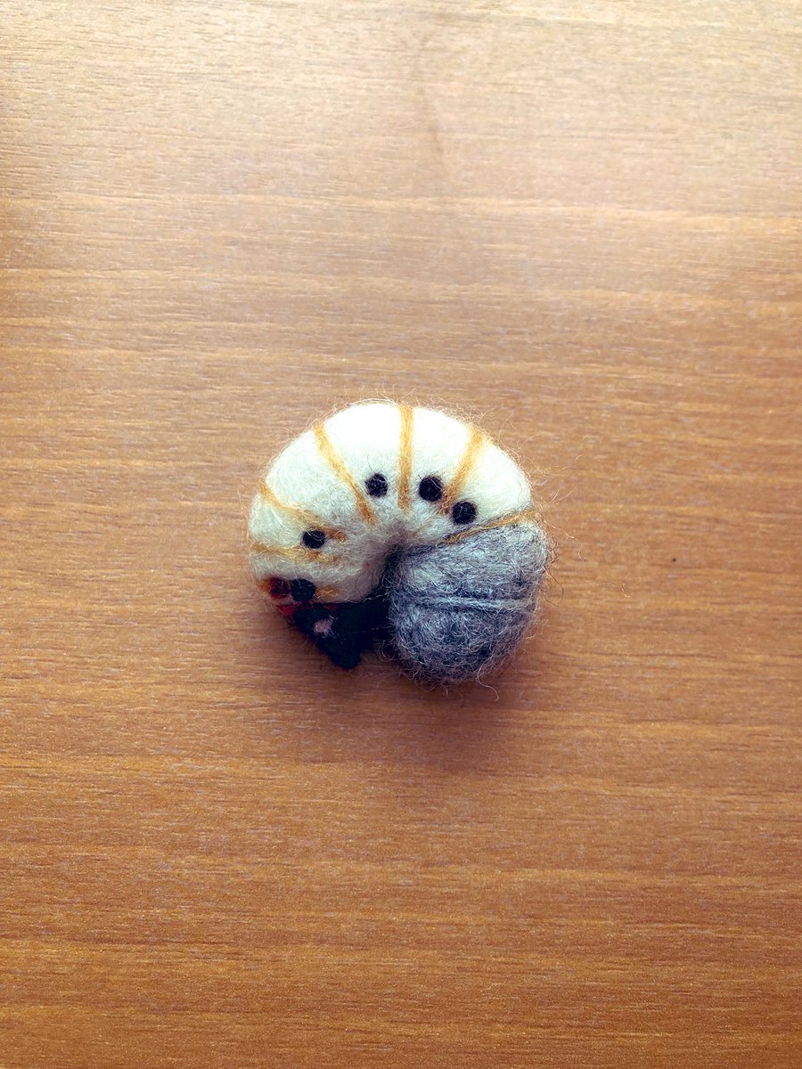 ぱんだ王国 tweet media