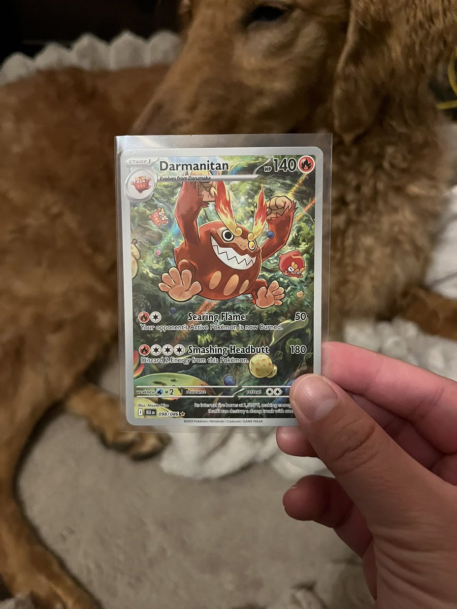 RANDOM GIVEAWAY! Giving away this cute darmanitan

Let’s show some love to my homie who just opened up his online store :) 

- follow <a href="/LotusCollects/">Lotus Collectibles</a> 
- like &amp; rt 
- i will pick a winner on march 30th! 

pls consider going on their website and supporting them for future drops!