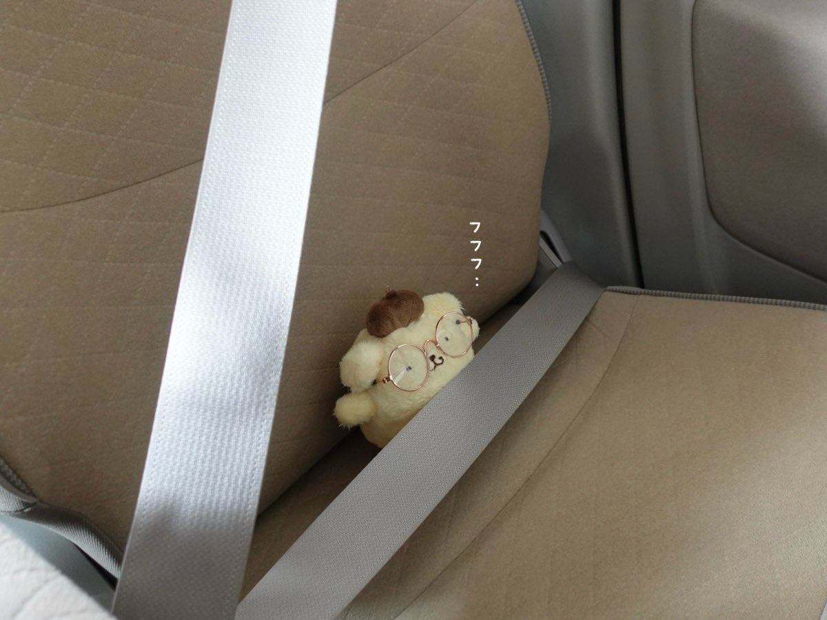 ぽむち tweet media