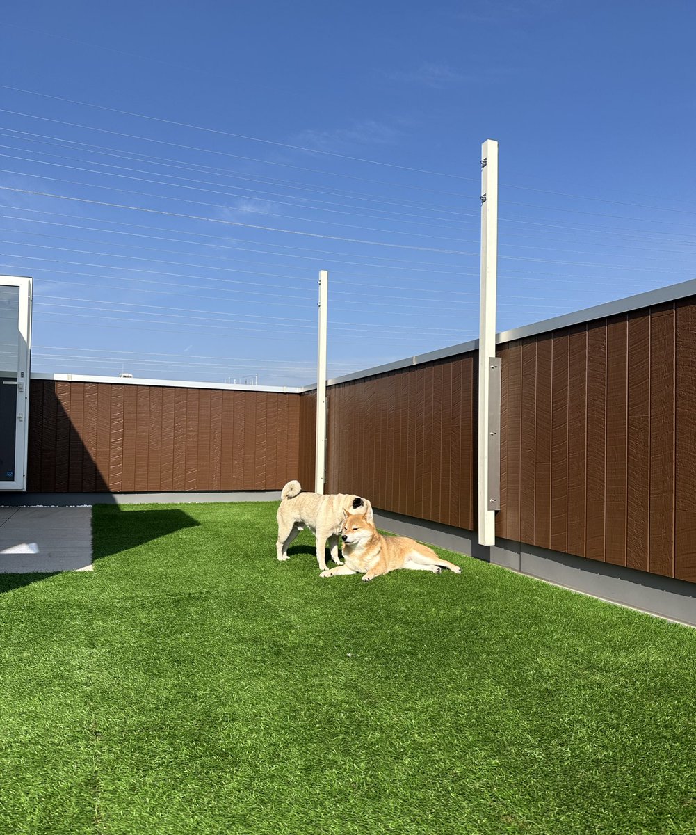 きたむら tweet media