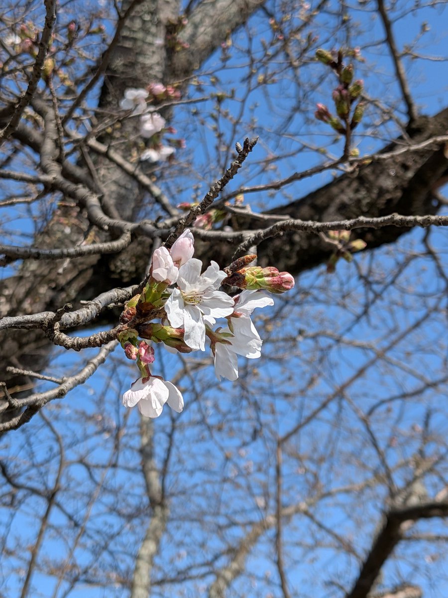 ろん＠Re:ゼロから始める投資生活 tweet media