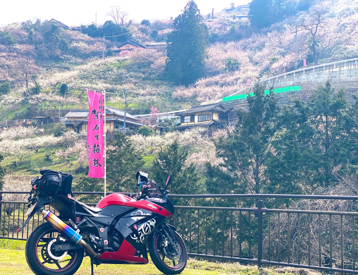 mimi( ◔︎㉦◔︎ ) tweet media