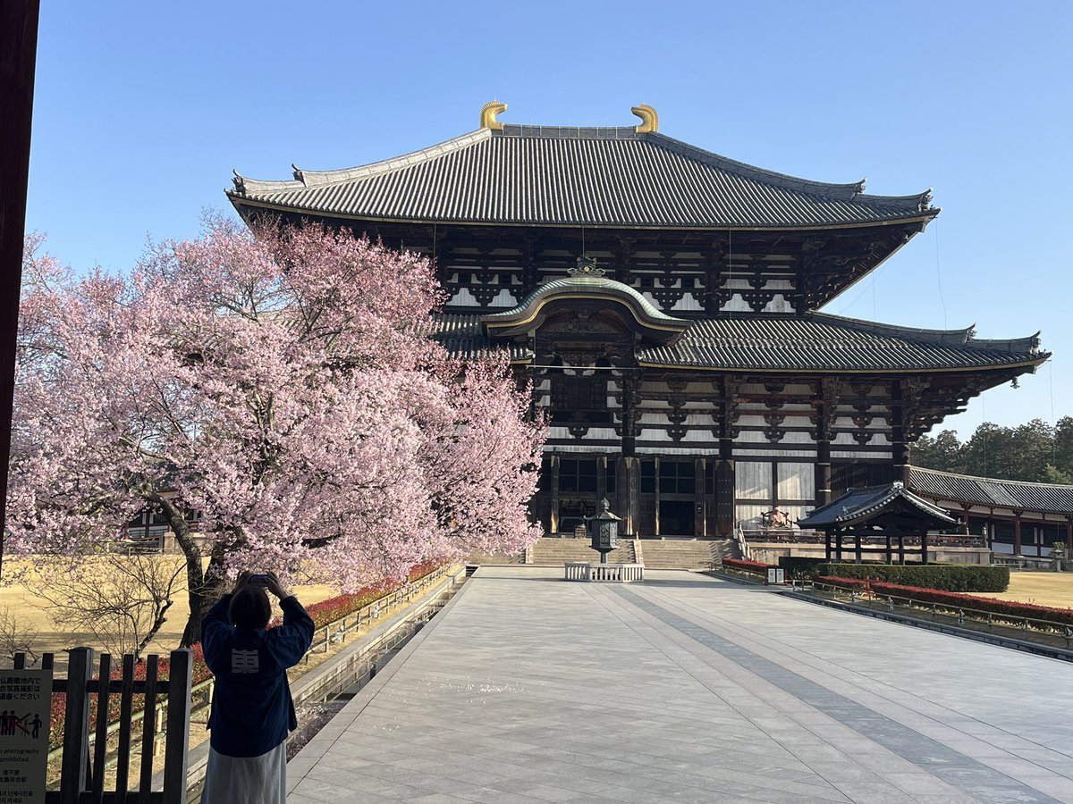 セルフ・キャリアドッグ@九鬼邦光 tweet media