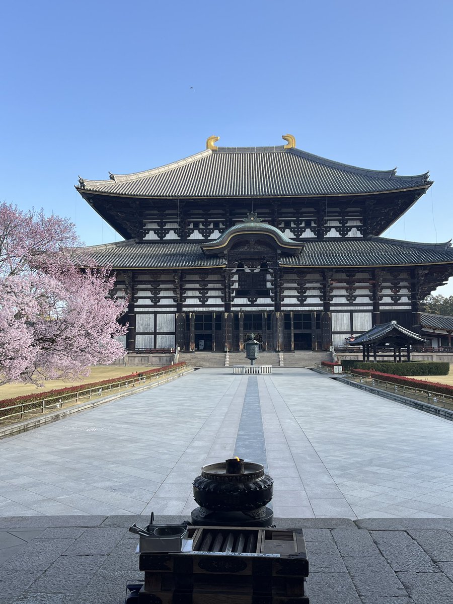 セルフ・キャリアドッグ@九鬼邦光 tweet media