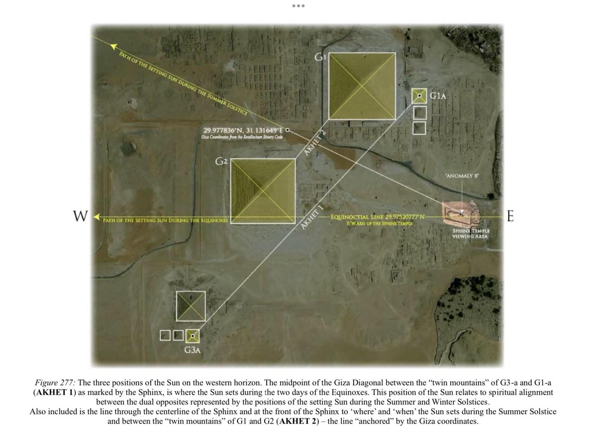 Trevor Grassi tweet media