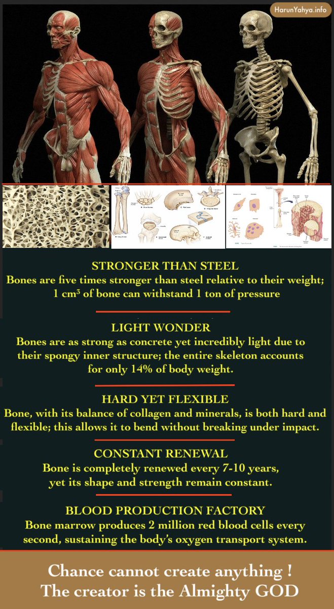 Touchstone Truth tweet media