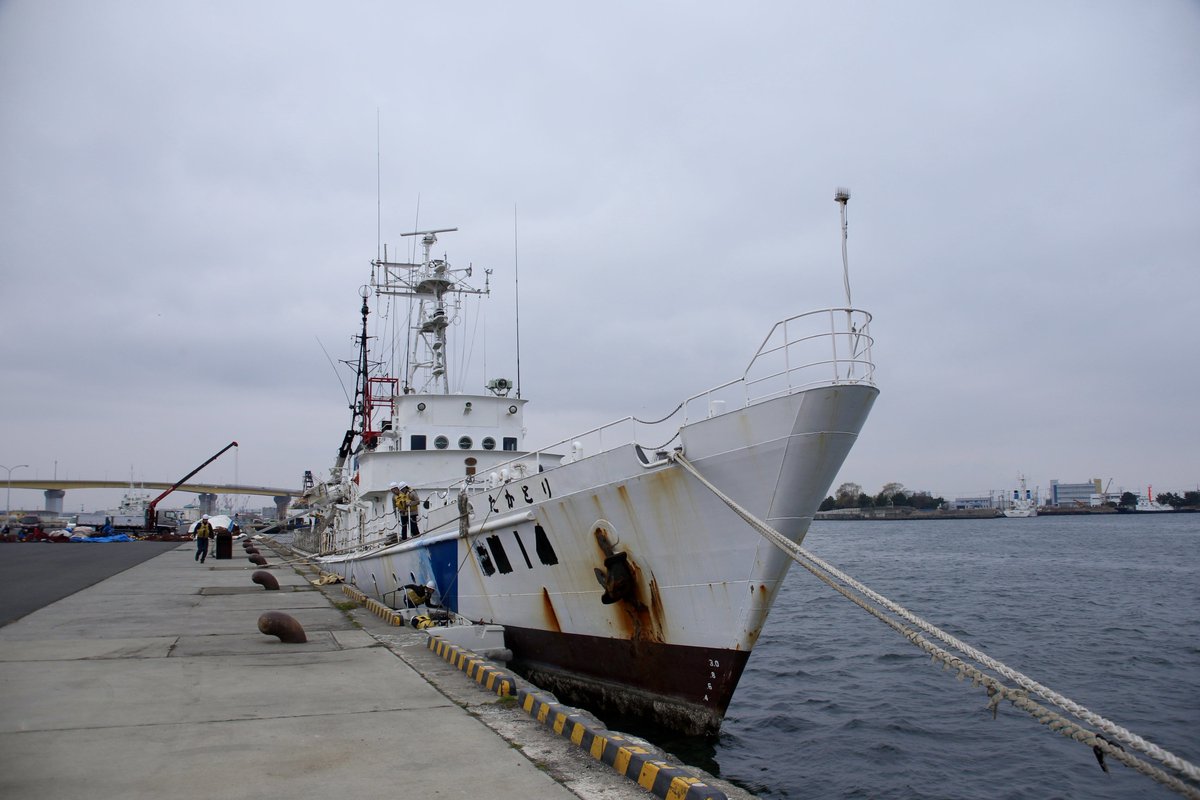 動く棒人間HACHINOHE LINE tweet media