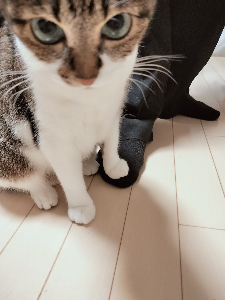 まりてつ tweet media