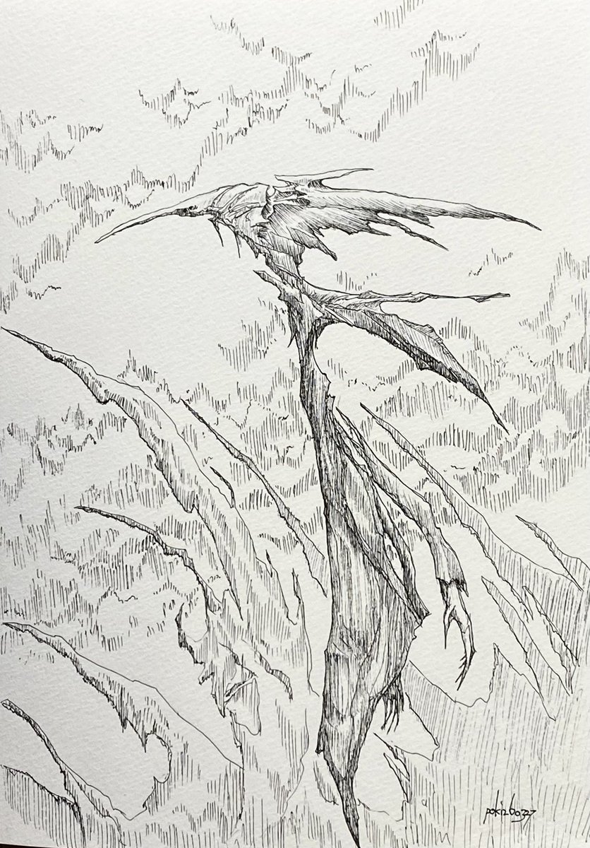 ぽき/poki tweet media