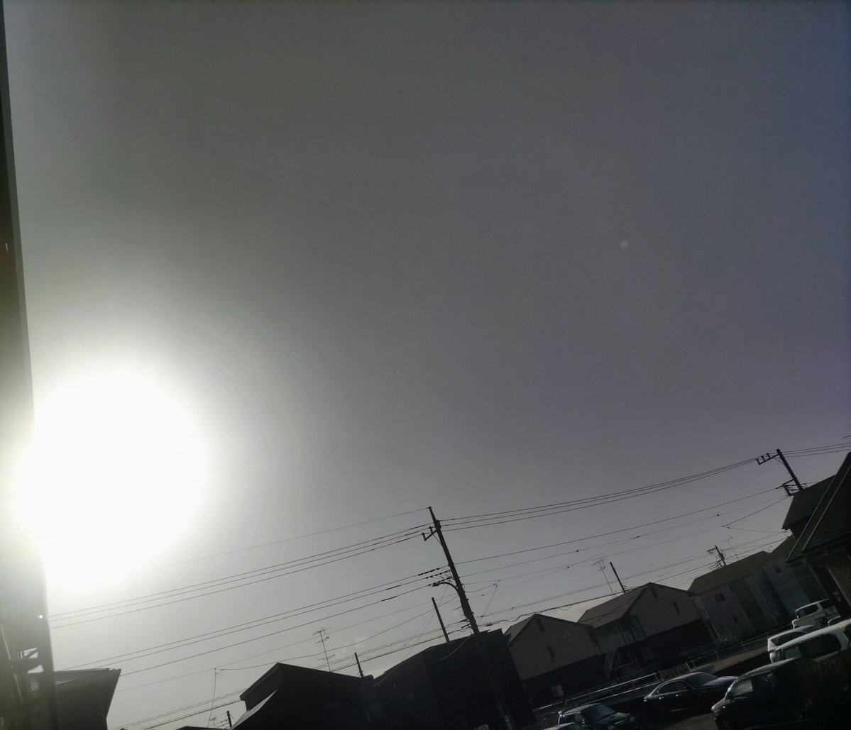 全力中年 tweet media