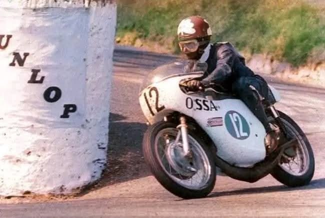 La Mala Suerte Ediciones tweet media