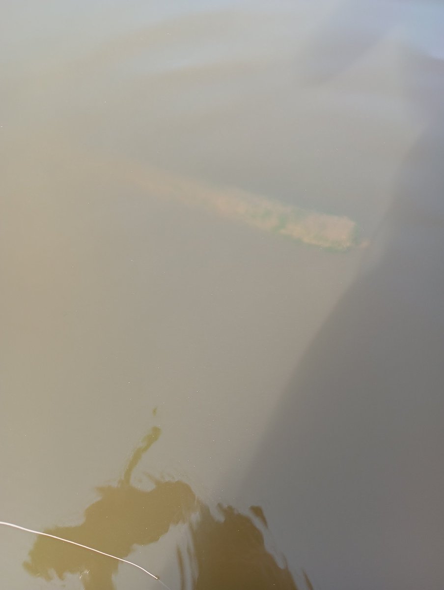 天羽セロニアス時貞 tweet media