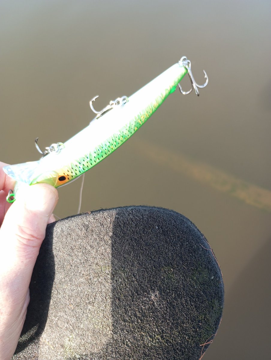 天羽セロニアス時貞 tweet media