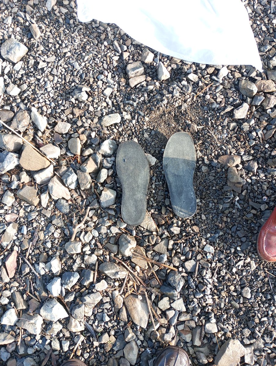 天羽セロニアス時貞 tweet media