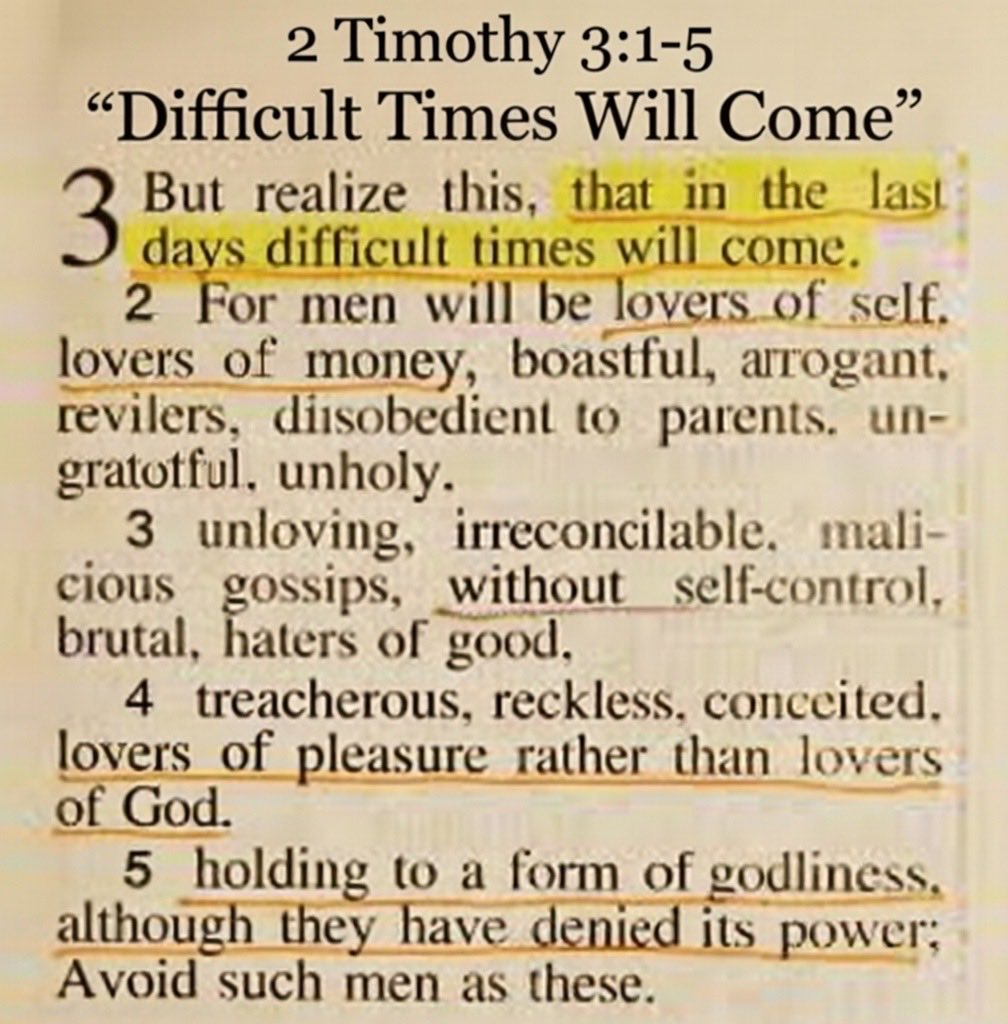 Jacqueline Watkins tweet media