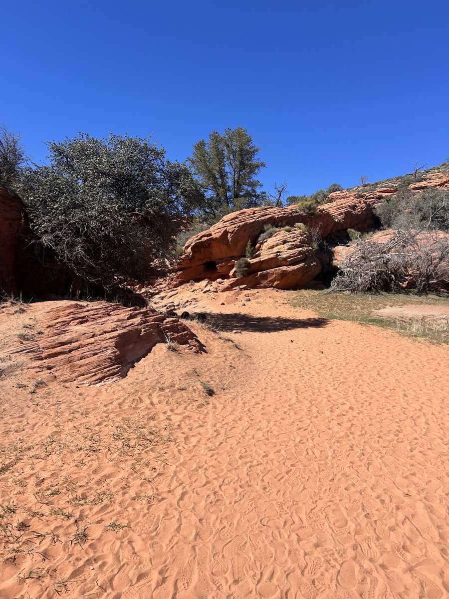 Fire Keeper tweet media