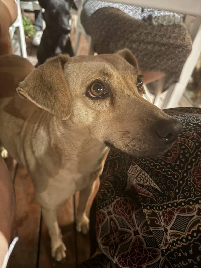 ❤︎Angelica ❤︎ tweet media