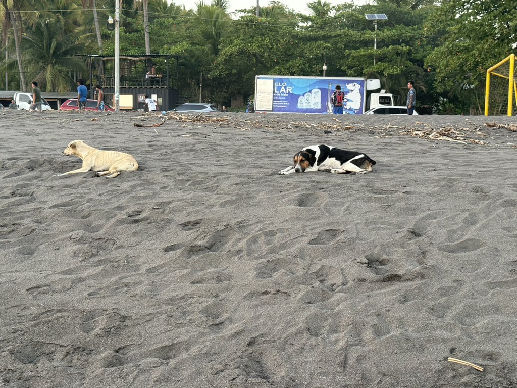 ❤︎Angelica ❤︎ tweet media