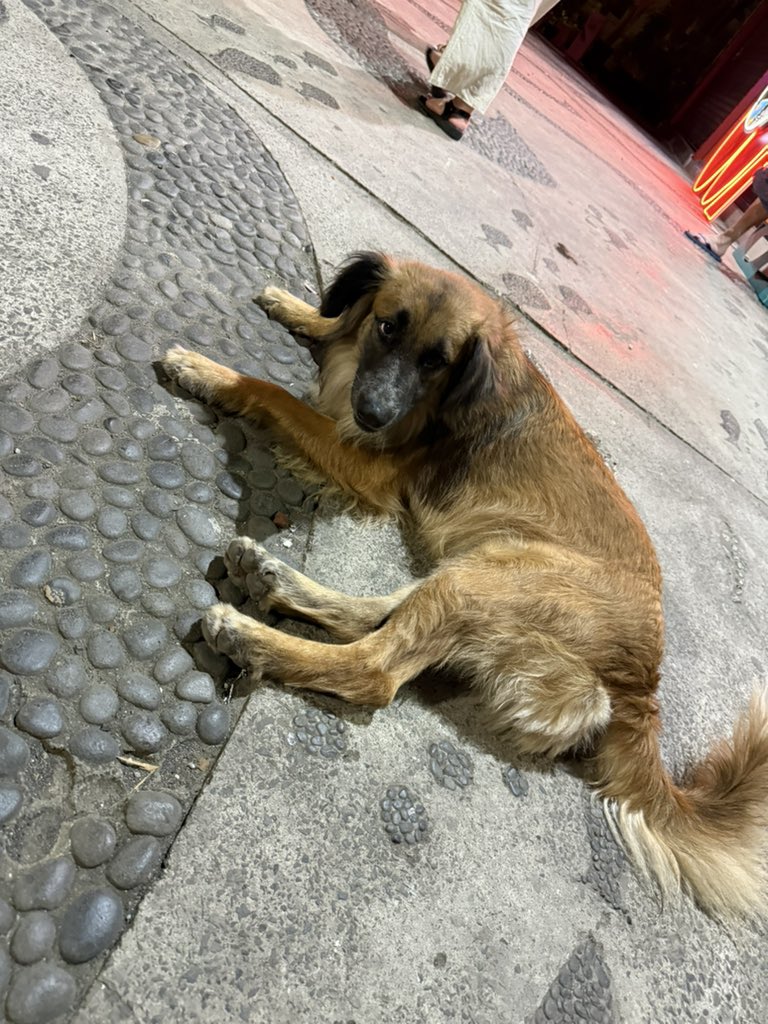 ❤︎Angelica ❤︎ tweet media