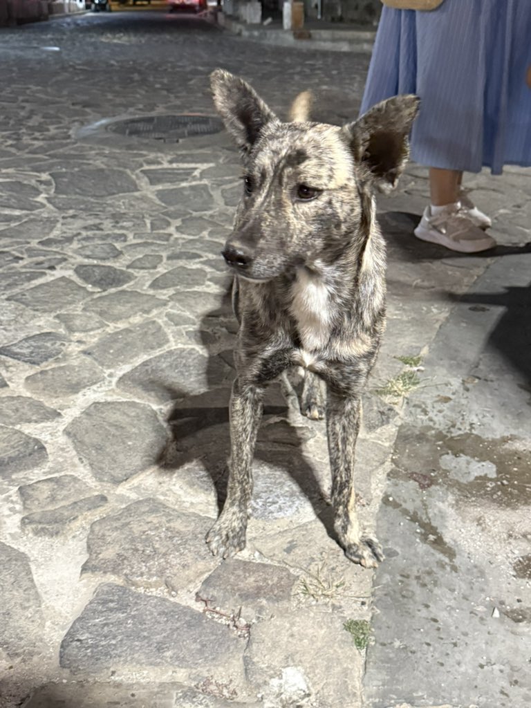 ❤︎Angelica ❤︎ tweet media