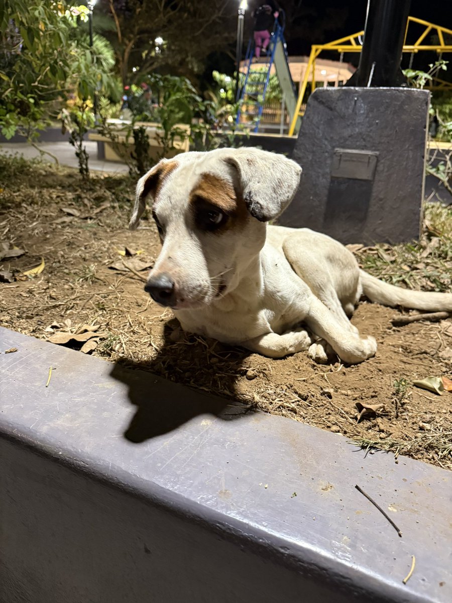 ❤︎Angelica ❤︎ tweet media