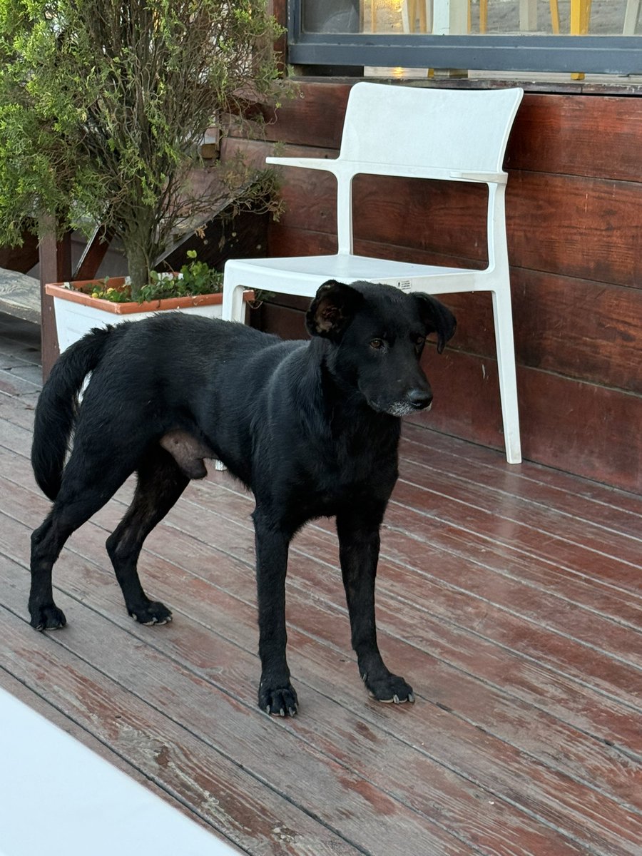 ❤︎Angelica ❤︎ tweet media