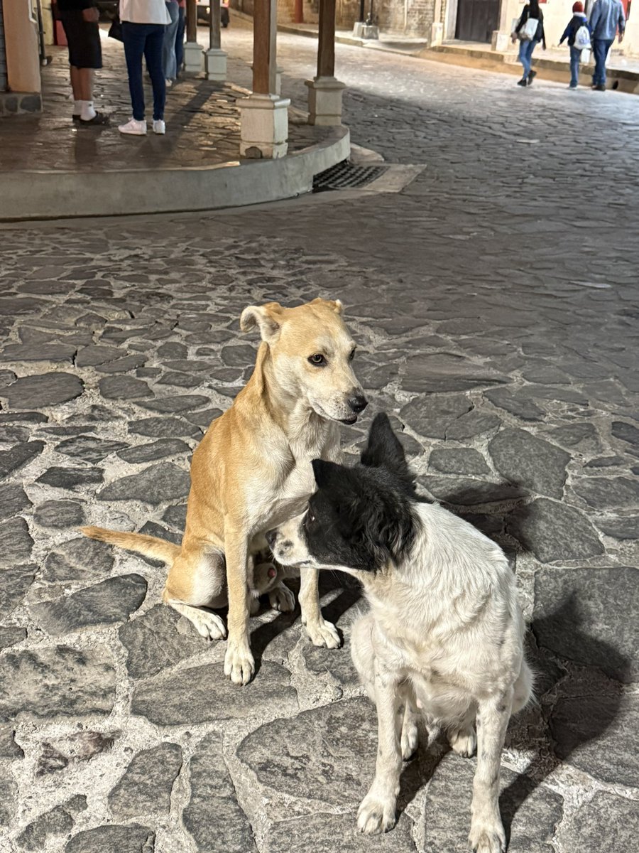 ❤︎Angelica ❤︎ tweet media