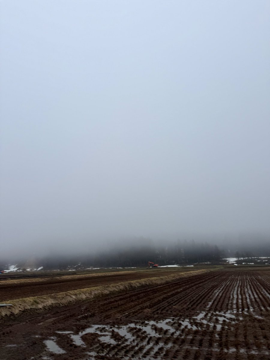 deviationvalue's tweet image. 朝ラン　21.1km 6℃
おはようございます
続けて走っていないせいか未だ脈高め

ただ、久しぶりに平日ハーフ走できてほんと嬉しいです
#ランニング
#STEPNGO
#ダイエット