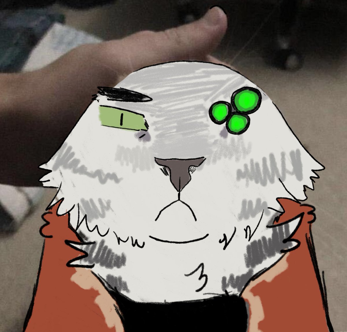 Salvy 🦌 tweet media