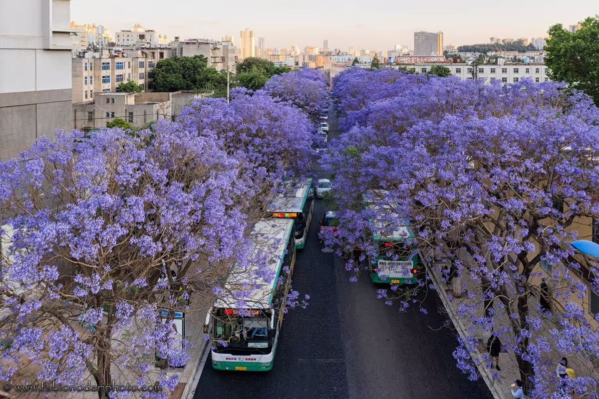 Tony Buổi Sáng tweet media