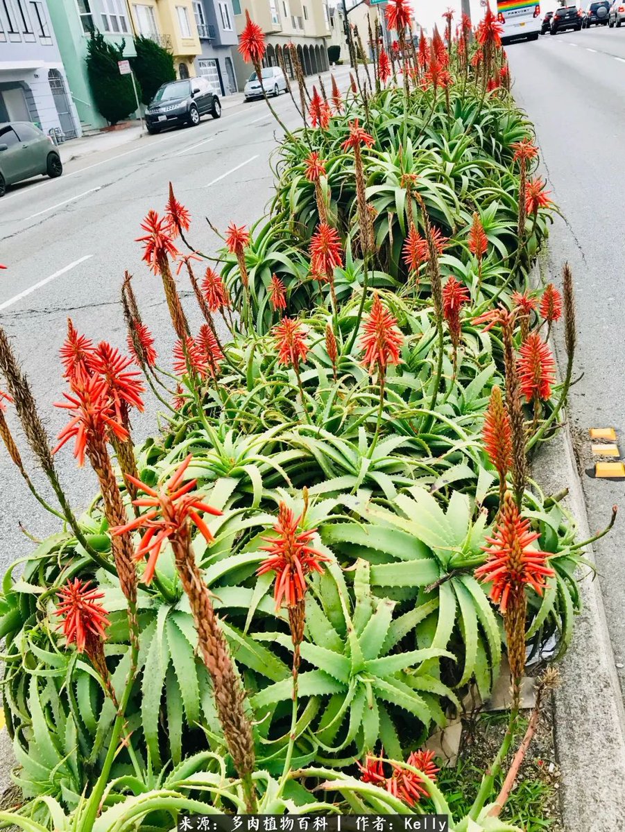 jackson gyakye tweet media