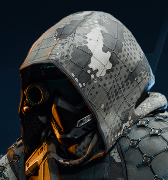 🐸 Frogcount 🐸 tweet media