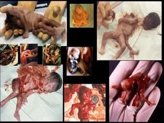 Rokarito tweet media