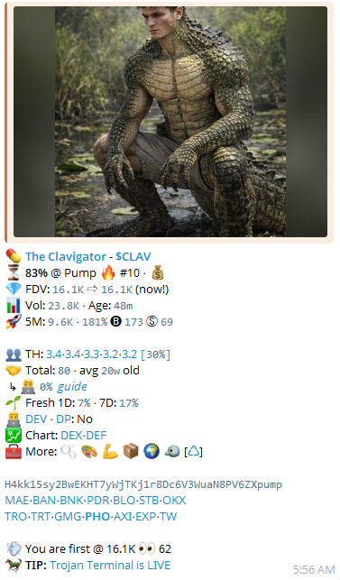 Exclusive SOL Signal tweet media