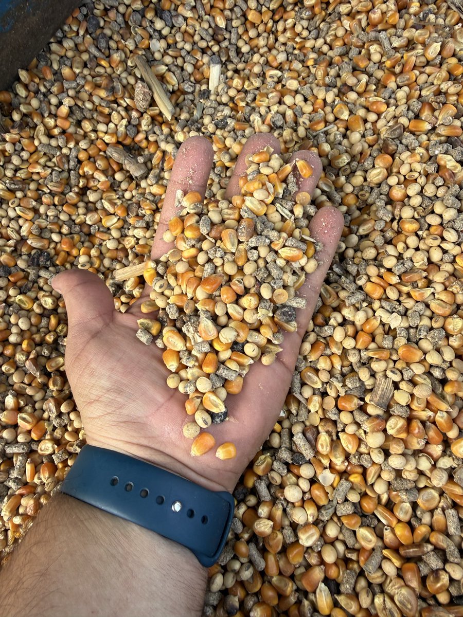 Osvaldo W. Luna 🌳🌾🐂 🇦🇷 tweet media