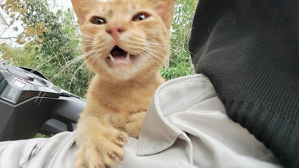 adys🦦 |follback woi| tweet media