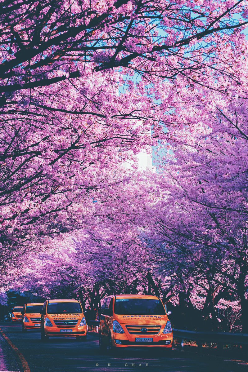 ์ผ์ด์ฑ (K. CHAE) tweet media