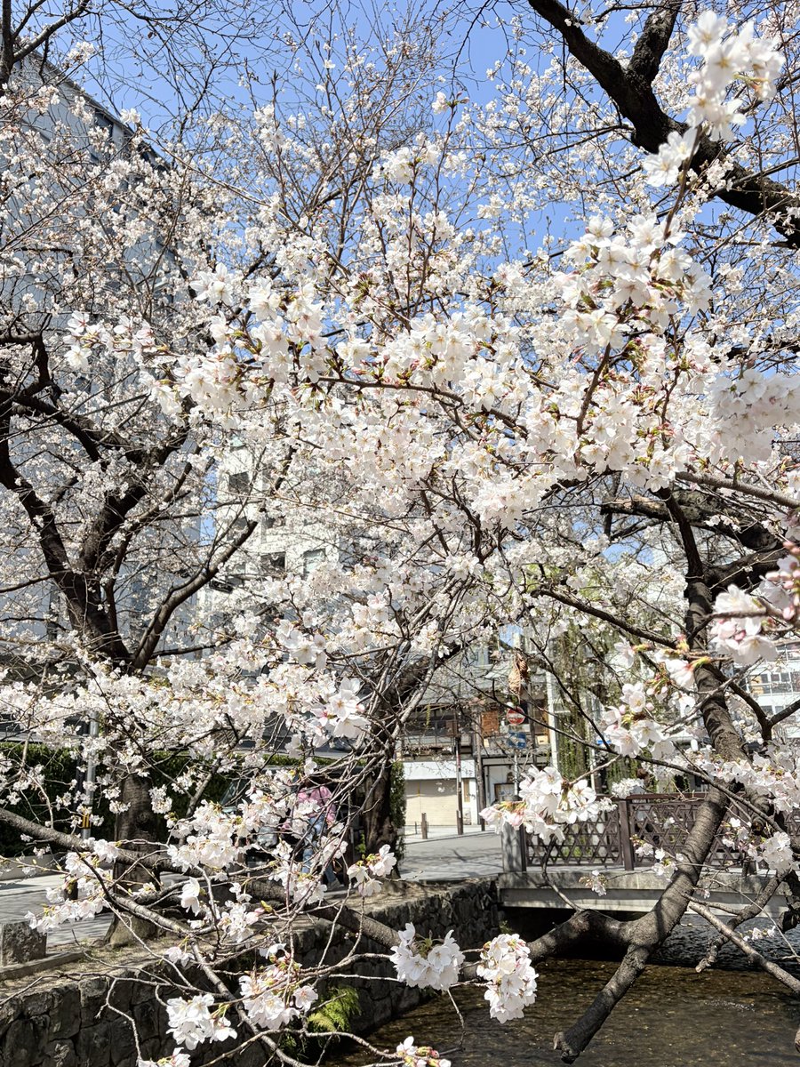 山口純平 tweet media