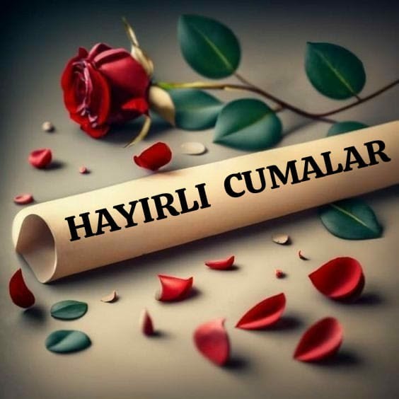 Gerda janssen 🇳🇱🦋🇳🇱🦋 tweet media