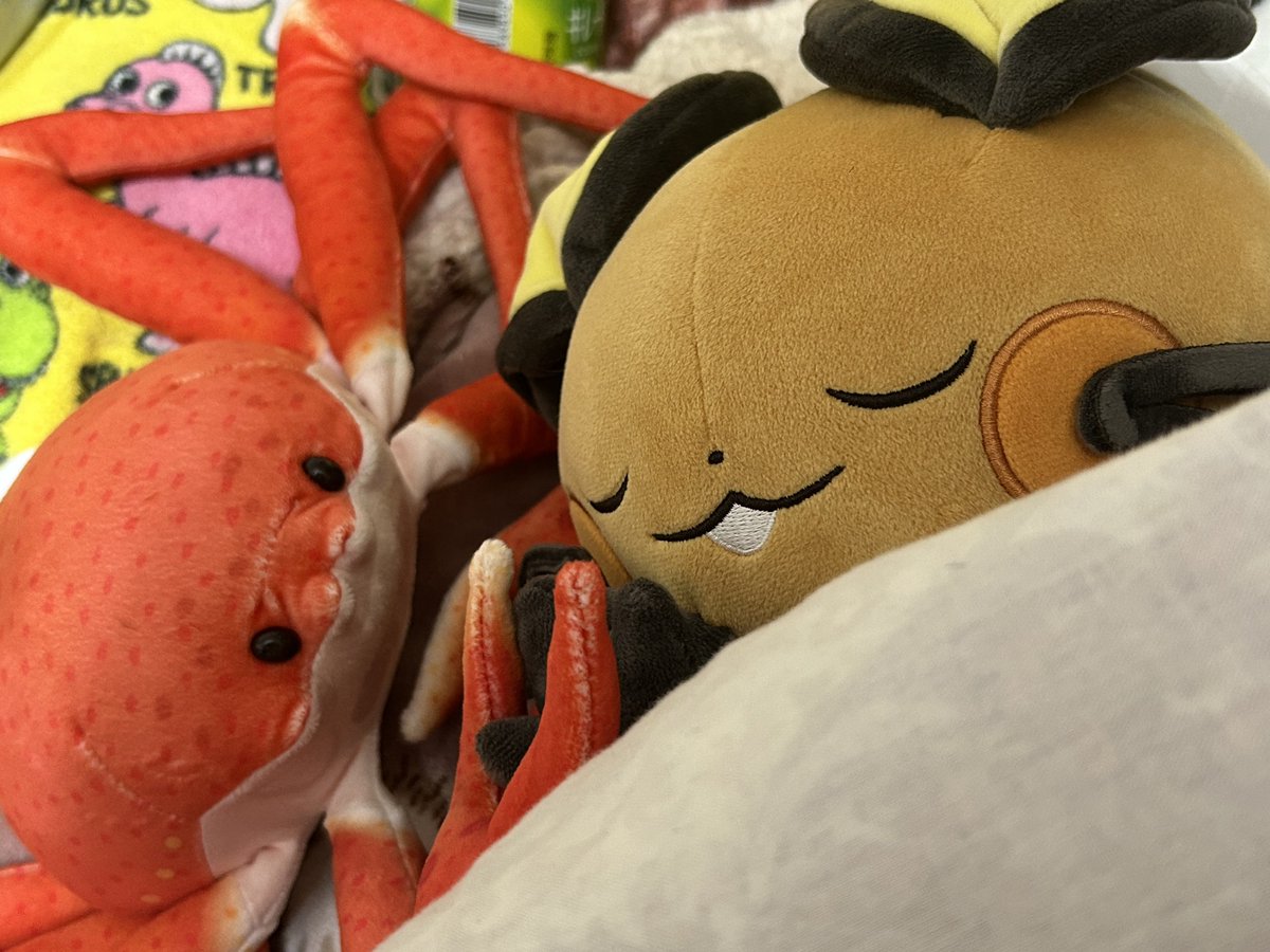 サンドネールまいたけ(寝柱)🍄🦖 tweet media