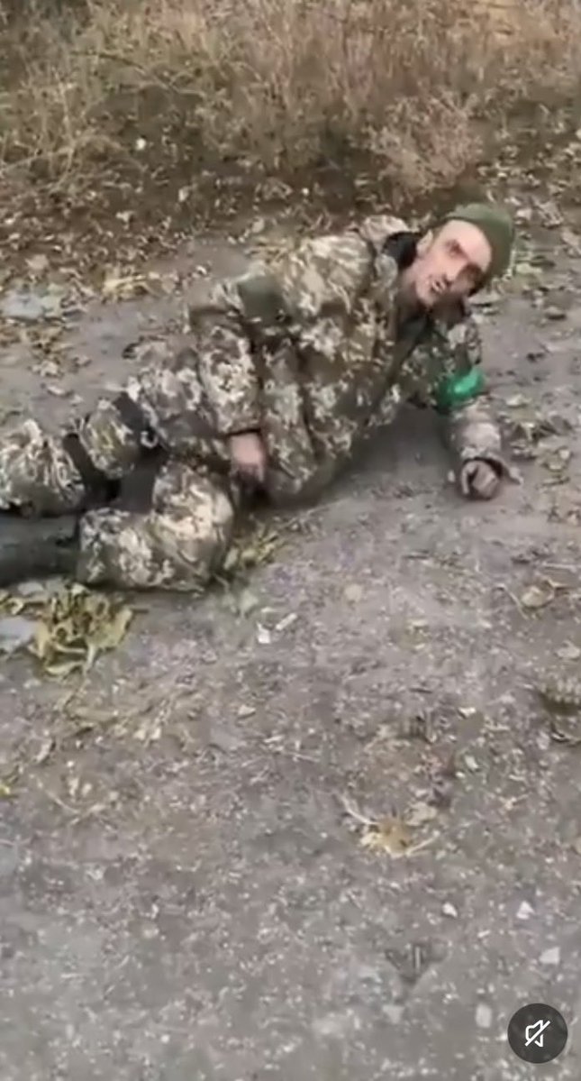 Dylan Burns 🇺🇦🏳️‍🌈 tweet media