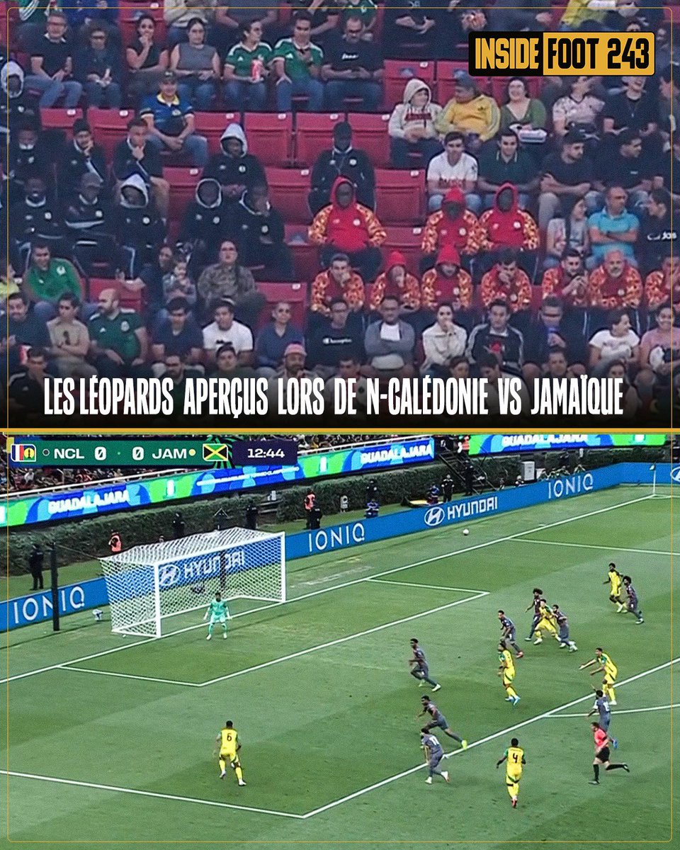 Inside Foot 243 tweet media