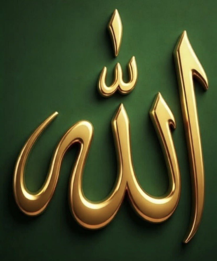 Black Sea Wind 6116 Kuzey Bey (Northerner) tweet media