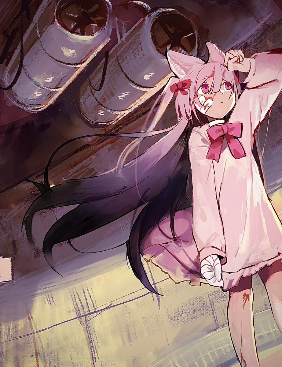 しょち tweet media